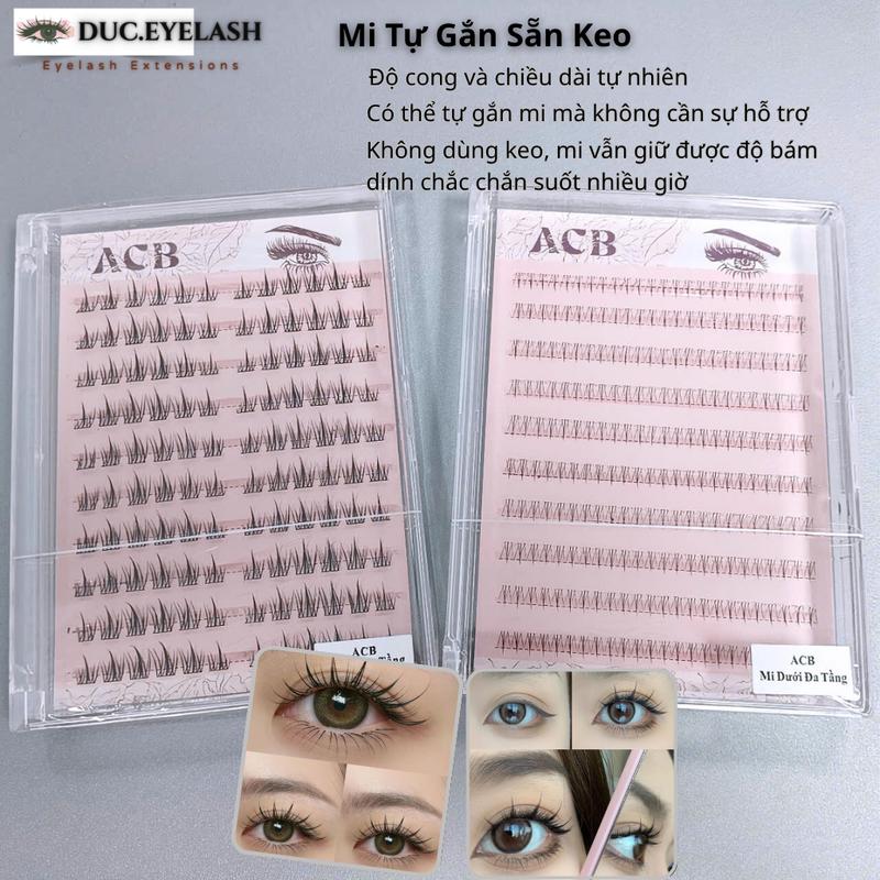 Lông mi giả tự gắn không cần dùng keo - mi hoa hướng dương 120 cụm/hộp mi trên và mi dướI 240 cụm/hộp / Đức Beauty Lashes Nữ Trang Điểm Mỹ Phẩm Cosmetic