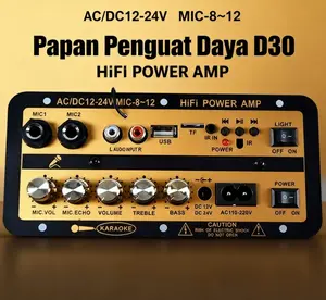 D30 PRO MAX Amplifier Board Audio 12V/24V/220V Bluetooth USB Radio TF DIY Speaker Woofer HiFi Power AMP