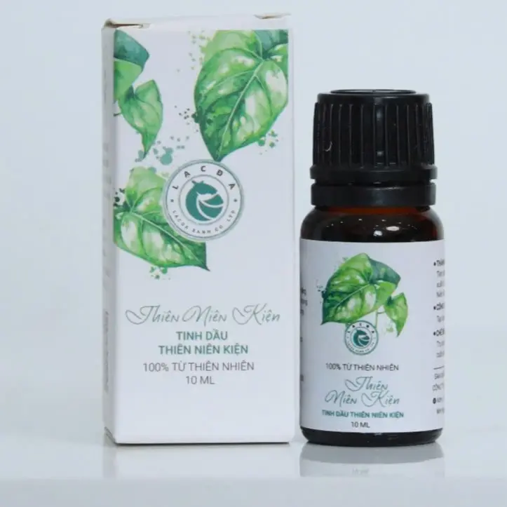 Tinh dầu thiên niên kiện Lạc đà xanh 10ml – Dùng xoa bóp, massage – Tốt cho gân cốt dầu  xoa 1