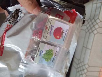 Product Review of Vegetable Seeds Pechay Kamatis  Sili Talong Ampalaya kangkong Okra Sitaw Pipino Bell Pepper Lettuce Upo Patola Labanos Sibuyas Bell Pepper Basil Celery Bokchoy Pakchoy butong gulay from P**6 0