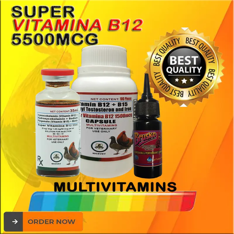 vitamin b12 injection how long to work Super Vitamin B12 for Gamefowl Maintenance main image 1
