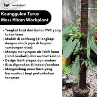 Gambar Workplant - Turus Moss Hitam Bisa Disambung Untuk Penyangga Dan Rambatan Tanaman Hias - Bagian Bawah dari workplant official Kota Surabaya 2 Tokopedia