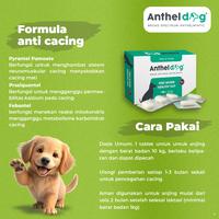 Gambar KALBE Anthel Dog Obat Cacing Anjing - 1 Box @30 Tablet dari Kalbe Animal Health Kota Administrasi Jakarta Timur 4 Tokopedia