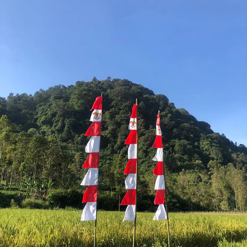 (20PcS) BENDERA UMBUL UMBUL TERMURAH 1kodi 4