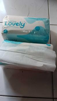 Product Review of 10 Lovely tisu wajah premium 360 helai halus lembut from k**i 1