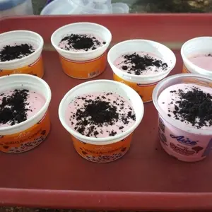 Bubuk Es Krim Hard Premium Instan Siap Saji 100 gram Hard Ice Cream Premium Powder Gelatoo Aneka Rasa 100gram