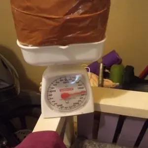 tape singkong mentega manis 1kg bikin ketagihan