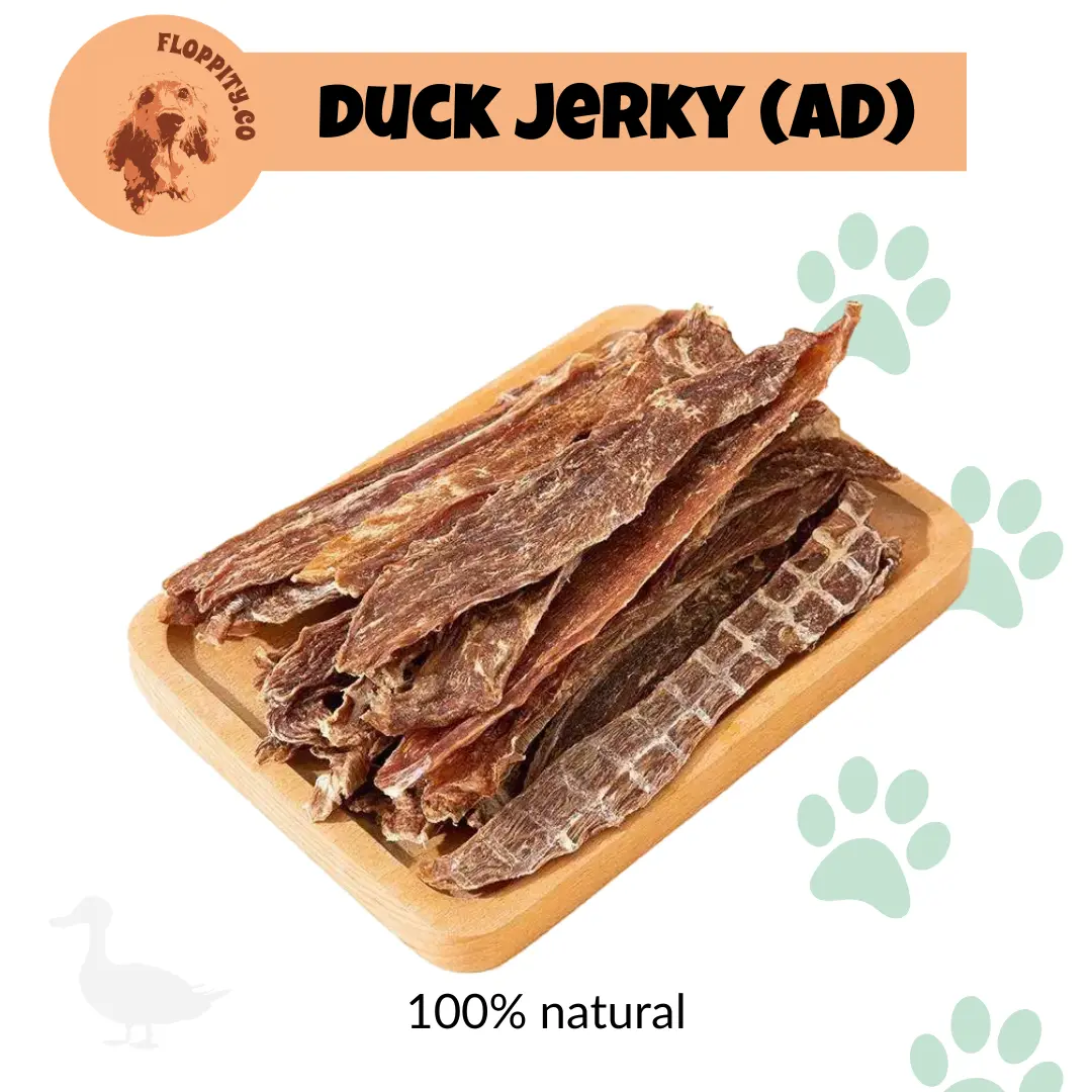 Floppityco Dog and Cat Treats - Dog Treat Natural Duck Jerky