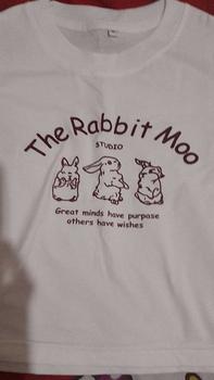Product Review of <TMG> Kaos pendek wanita | Cetakan kelinci alfabet yang lucu | Kaos wanita pendek Korea, lucu, kasual dan serbaguna, tersedia 4 warna  C0023 from 🐈**⬛ 0