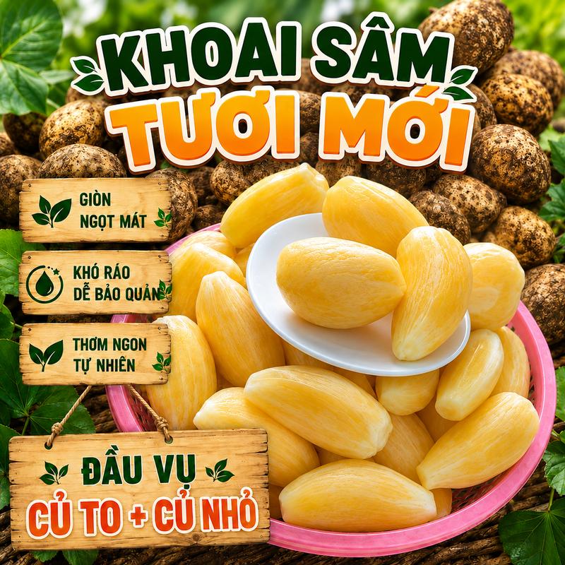 Đầu Vụ - Củ Sâm Đất Đặc Sản Lai Châu - Ngọt Thanh, Giòn Mát, Tươi Mỗi Ngày