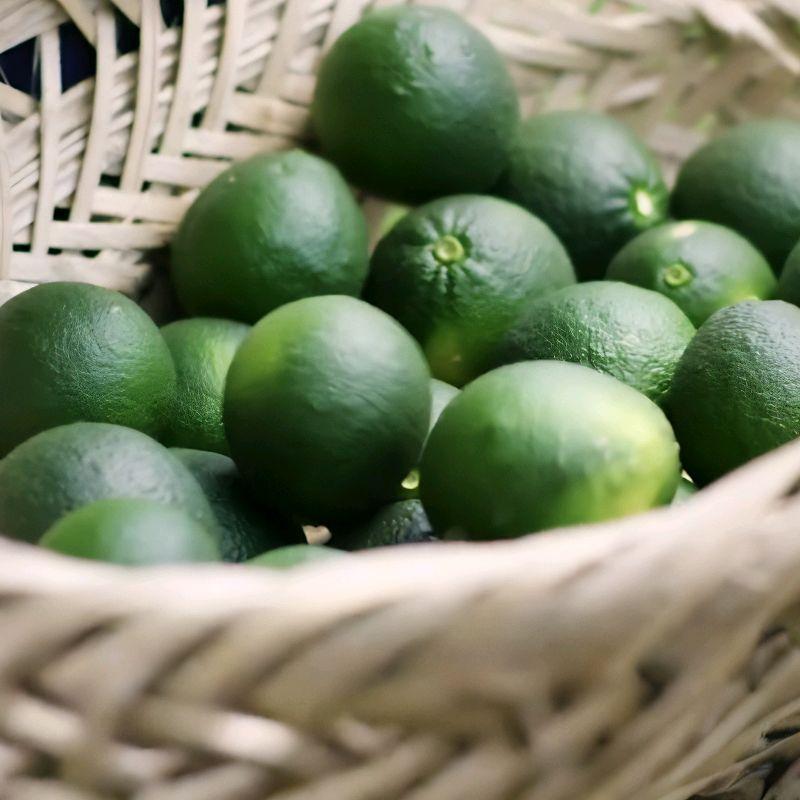 Jeruk Nipis 1 KG Isi 22 Buah Untuk Perasan Wedang Soto Gultik Gulai Kecut 0