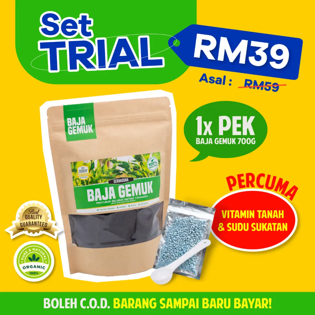 Baja Gemuk l Tanaman Sayur, Bunga, dan Buah Garden Home