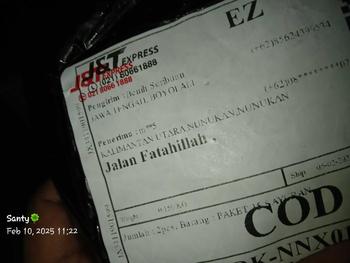Product Review of Paket 25 Bibit Sayuran Mudah Tumbuh Benih Seribuan from m**5 2