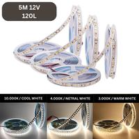 Jual LED Strip 2835 120L IP33 5 Meter Indoor Putih Kuning 4000K 5M 12V ...