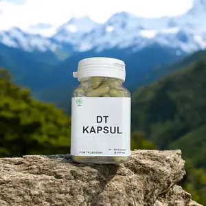 PROMO DT KAPSUL ISI 60 KAPSUL - MEMBANTU MELANCARKAN METABOLISME TUBUH