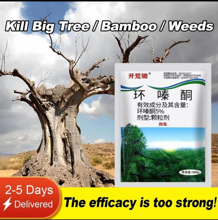 【Malay spot】alion arcun rumput parakuta Weeding，rotten tree eradicator ...