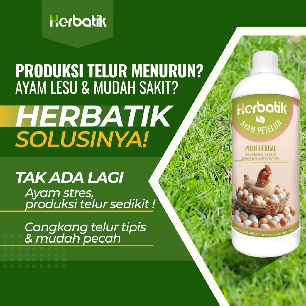 Herbatik Ayam Petelur – Tingkatkan Produksi Telur Secara Alami, Tanpa Bahan Kimia!