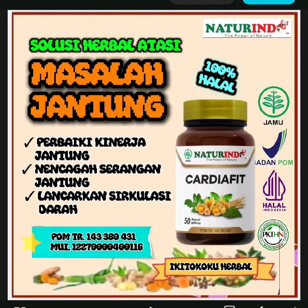 Naturindo Herbal CARDIAFIT 50 kapsul @ 400 mg – solusi alami untuk Kesehatan Jantung,  memperbaiki kinerja dan mencegah serangan , melebarkan pembuluh darah – halal – POM TR. 143 380 431