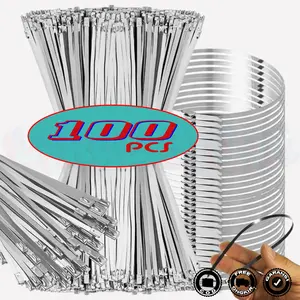 Kabel Ties Stainless SS 304 Panjang 10 - 55 CM Tali Tis Klem Pengikat Anti Karat SUS304 20/100 Pcs