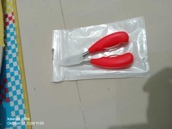 Product Review of Gunting Kuku Miring Anti Cantengan Pemotong Kuku Miring Jempol Kaki Stainles Steel from c**a 0