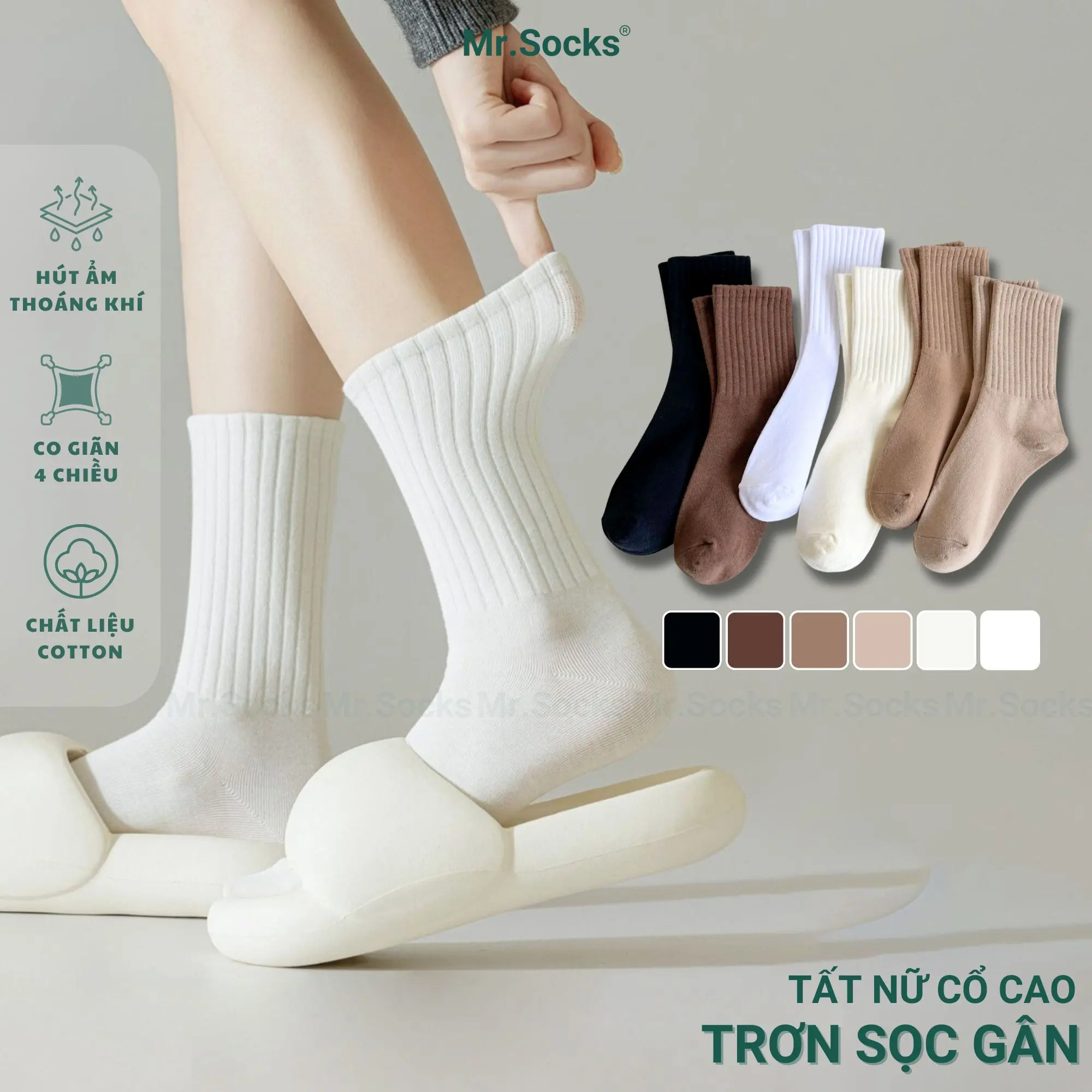 BEST SELLER | Combo Tất Cao Cổ Nữ Trơn Màu Mr.Socks, Vớ mùa hè, Vớ Trơn Cổ Trung Nam Nữ Chất Vải Co Giãn Bền Màu, Mỏng Nhẹ, Êm Mềm Mịn Mát - OAS-CB