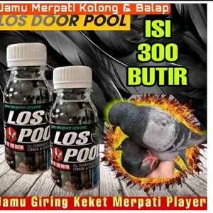 JAMU MERPATI LOS DOOR POOL ISI 300 PIL jamu merpati kolong Dan Balap Pil Extra Gingseng Teki raja pukqul super giring keket keras extra