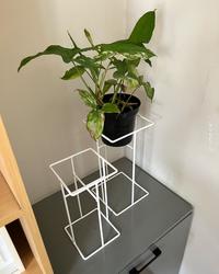 Gambar VERTUREWIRE Rak Pot Tanaman Standing Pot Besi Tebal Finishing Plastik Putih Tahan Karat Kuat Kokoh untuk Dekorasi Rumah Hijau - Kecil dari verturewire Kab. Tangerang 5 Tokopedia