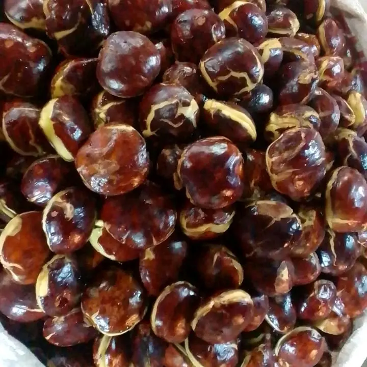 Timbangan isi jengkol 1kg segar dan fres Masakan Makanan Kering Kitchenware buah kering asam potong medan Snack Food 7