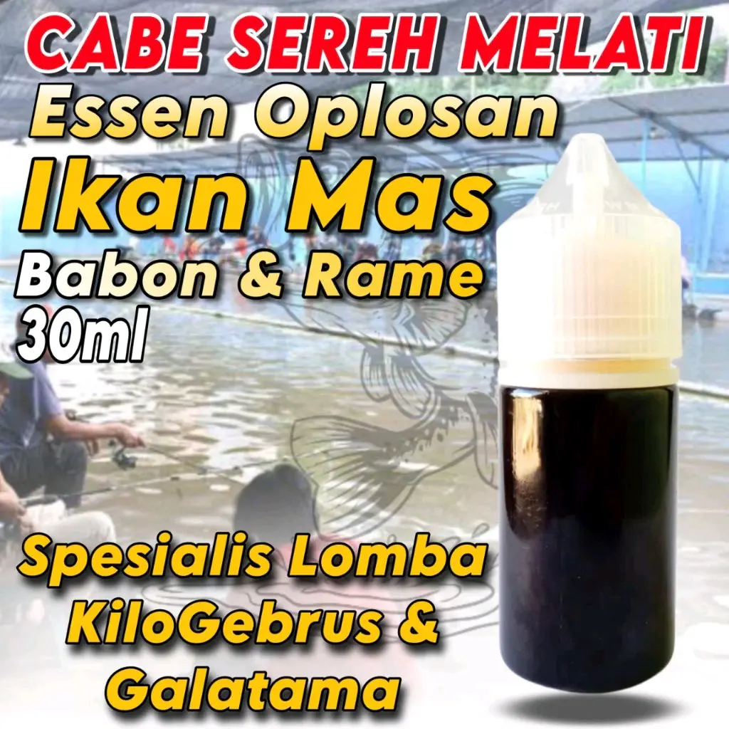 Essen Oplosan Cabe Sereh Melati Paling Gacor Khusus Ikan Mas Babon & Rame, Essen Ikan Mas Paling Bagus Segala Umpan bisa digunakan Siang atau Malam Essen Mancing