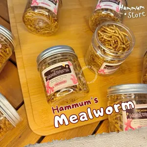 MEALWORM — Ulat Hongkong Kering Makanan Hamster Burung Reptil | Ulat Kering | Protein Snack Hamster
