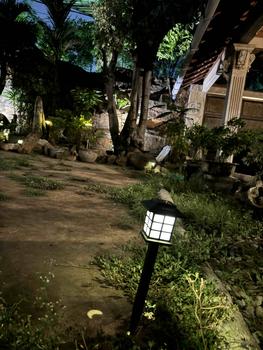 Product Review of Lampu Taman Solar Tenaga Surya | Lampu Taman Tancap | Garden Lamp BIT-LT011 from W**e F**y 1