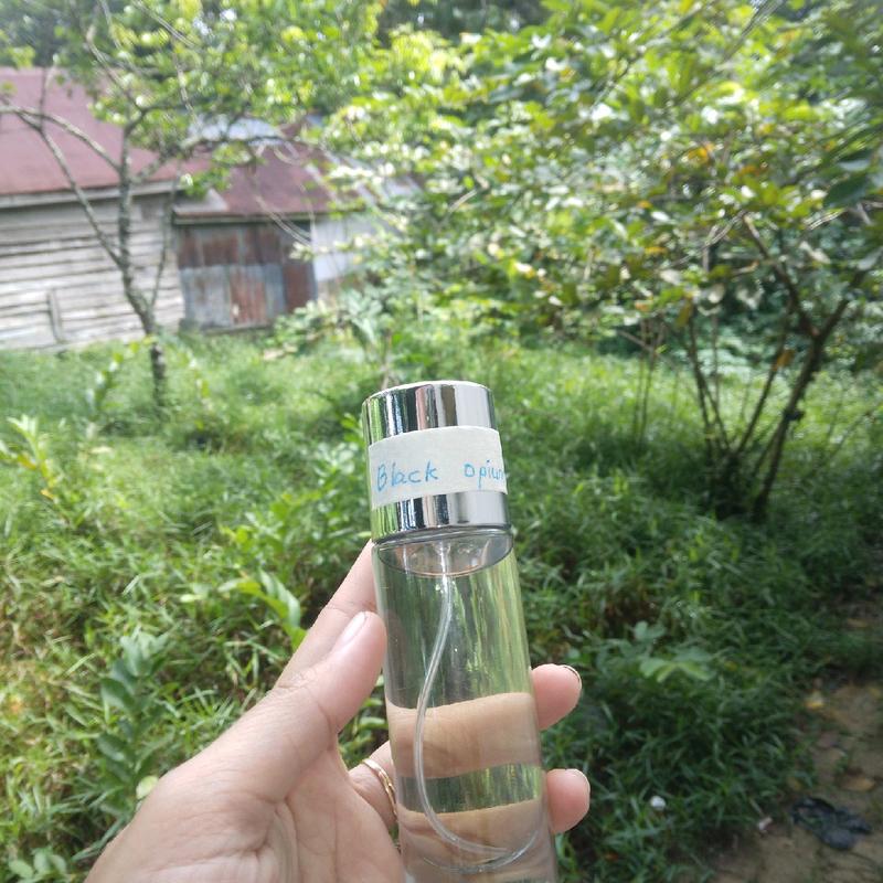 parfum isi ulang full bibit ketahanan 24 jam isi 30ml harga per 1 botol 0