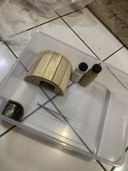 Product Review of Pinset 10 cm Kecoa Dubia Jangkrik Ulat Hongkong from b**_ 0