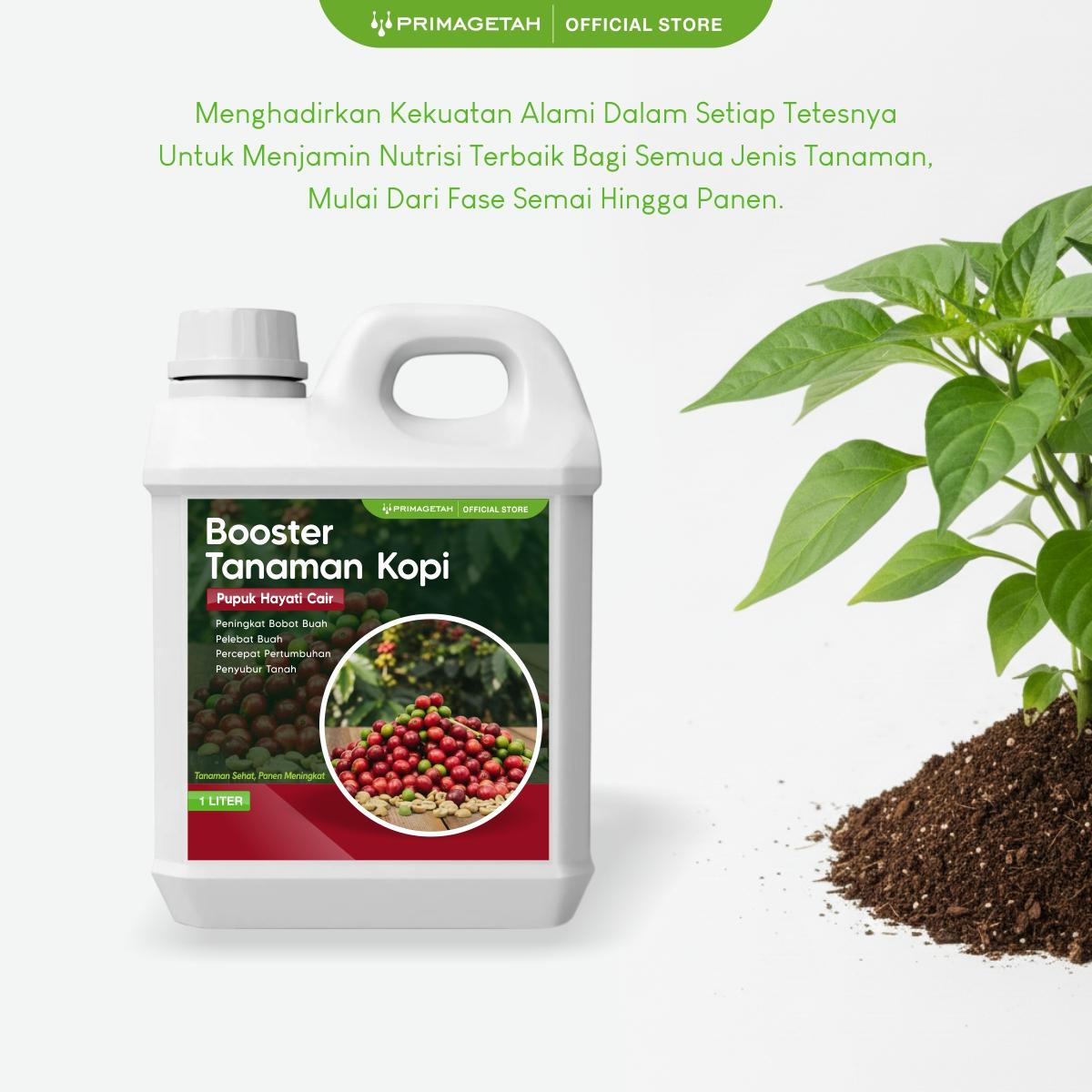 Pupuk Pelebat Buah Kopi Organik Hayati Cair 500ml POC Booster Tanaman Kopi berkualitas Premium Original