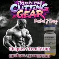 Gambar Buku Fitness Extreme Cutting chapter: Final Chapter TrenTe200 dari Obat Otot 7 Kab. Cianjur 2 Tokopedia