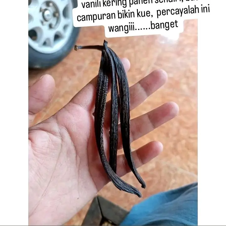VANILI KERING KUALITAS BAGUS 13-14CM