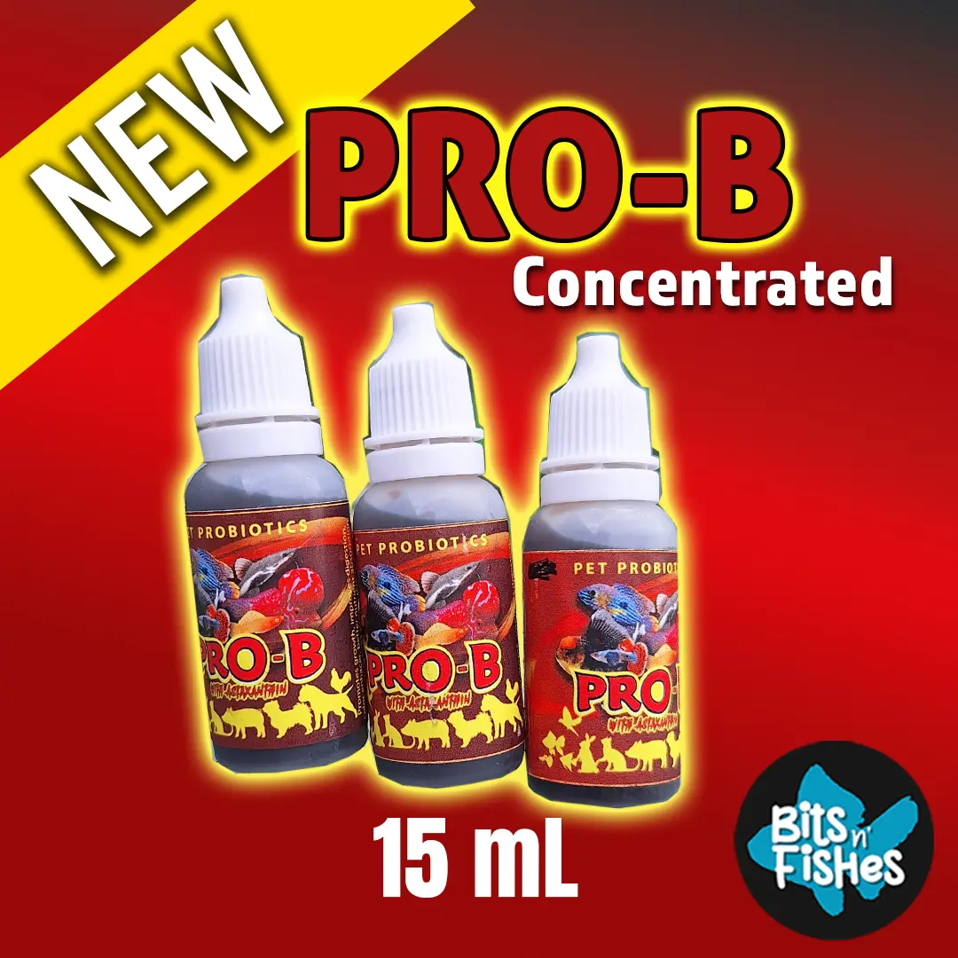 Pro-B with Astaxanthin - Immunity Booster & Color Enhancer for All Fishes (15mL CONCENTRATED) - Aquarium Probiotic for Fish Health & Water Quality