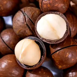 Kacang Macadamia Roasted Panggang 250g Halal Snack Kacang Hawai Terbaik