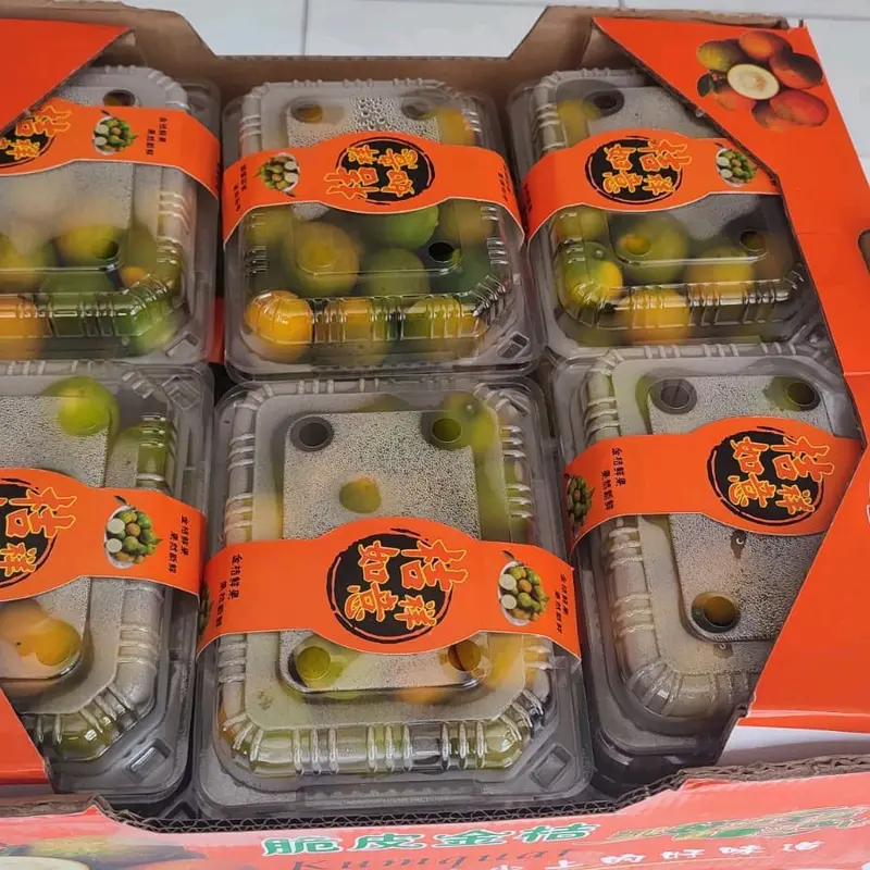 Jeruk Kimkit 500gr/Pack Segar dengan Kulit untuk Konsumsi - Buah, Zuriat, Frozen 1