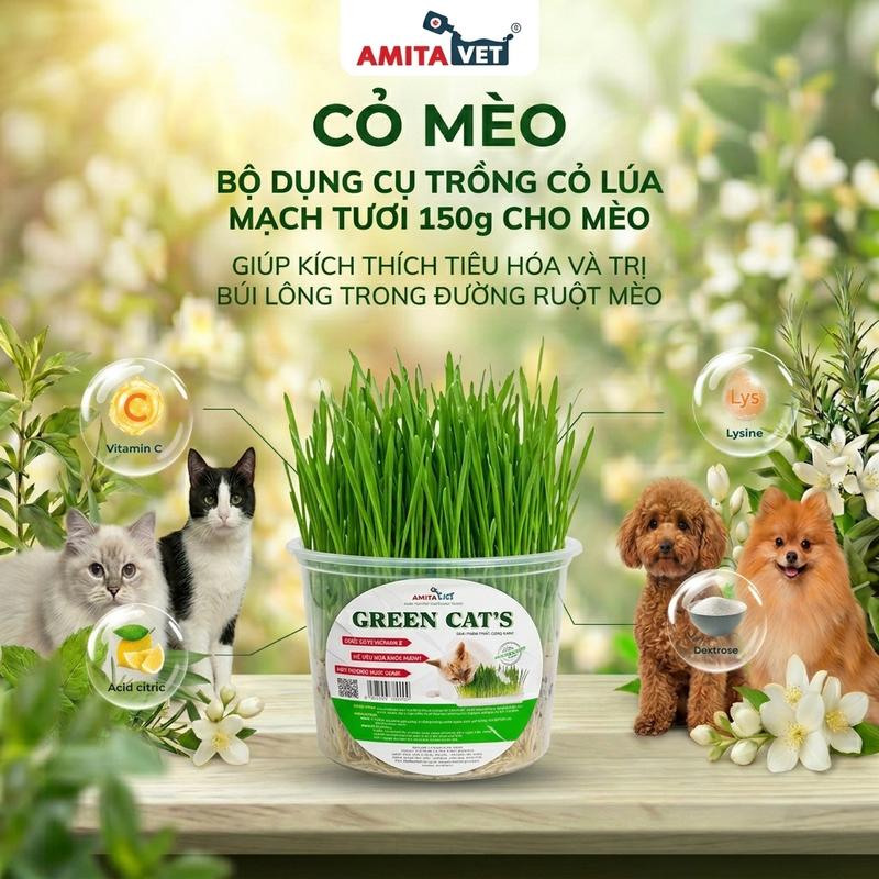 CỎ MÈO - BỘ KIT TỰ TRỒNG CỎ LÚA MẠCH TƯƠI CHO MÈO 150GR GIÚP KÍCH THÍCH TIÊU HÓA VÀ XỬ LÝ BÚI LÔNG TRONG RUỘT MÈO - THƯƠNG HIỆU AMITAVET