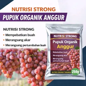 Nutrisi Strong Pupuk Pelebat Buah Anggur 250gram Praktis Ekonomis Kandungan Kalium Nopshat Kalsium dan Nutrisi Buah