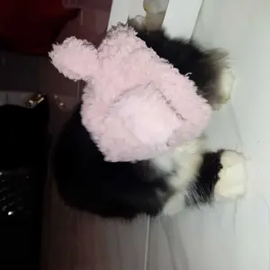 Topi Kucing atau Anjing Motif Beruang Lucu dan Hangat untuk Hewan Peliharaan Anda Tersedia dalam 2 Ukuran Melindungi dari Cuaca Dingin
