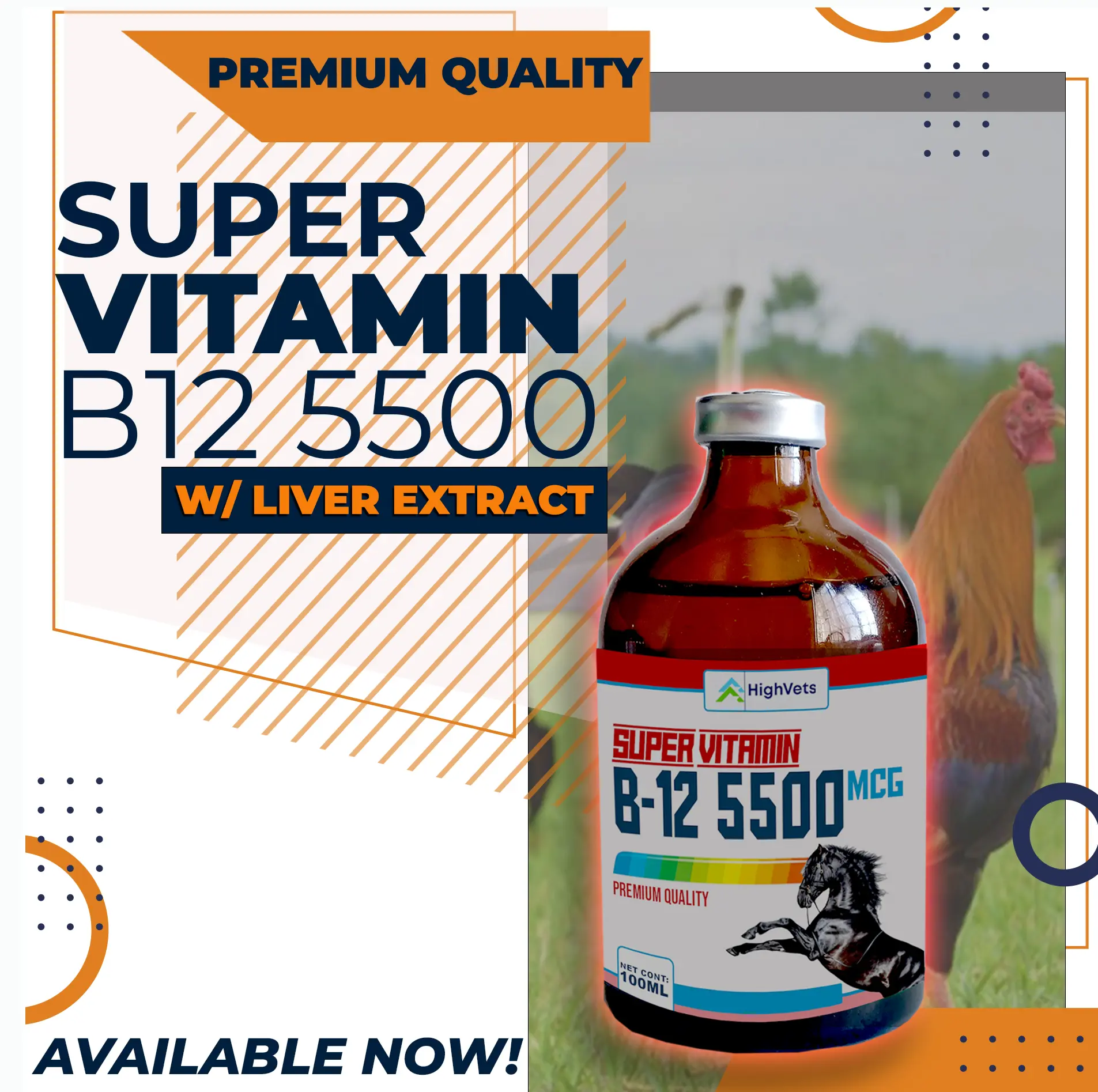b12 injection for gamefowl fighting cock: Boost Performance & Immunity 000 mcg Kingslasher Rambler 100ml B1 B6