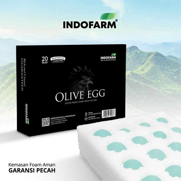 Gambar Telur Hijau dari Ayam Hitam (Rendah Kolesterol) - Telur Besar 45g - Telur Hijau dari Ayam Hitam-ORIGINAL dari INDOFARM JAKARTA SELATAN Kota Administrasi Jakarta Selatan 3 Tokopedia