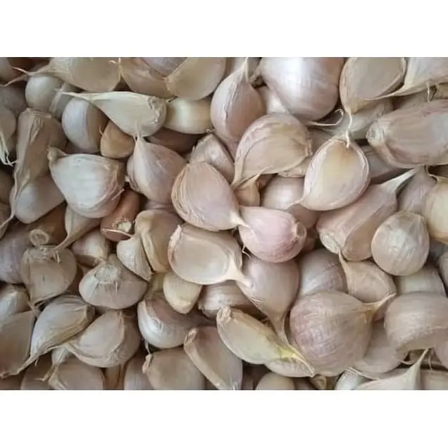Bawang Putih kateng Lokal 1kg kwalitas bagus