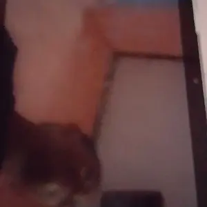 TOSCREEN TOUCHSCREEN TABLET ADVAN A10 WIFI 10.1'' - TABLET WIFI KACA LAYAR SENTUH