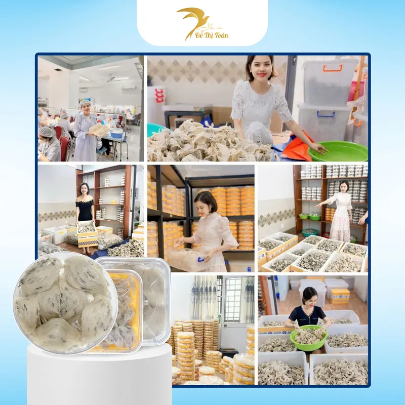 [CFV-DTT] Yến Thô Bể Nhỏ (Kèm Táo Đỏ, Đường Phèn, Nhíp) - Yến sào Đỗ Thị Toán Food 2