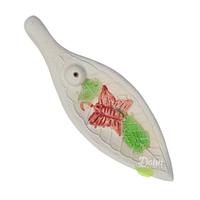 Gambar IH Keramik Bentuk Daun Lucu dari Daun The Gift Shop Kab. Badung 1 Tokopedia