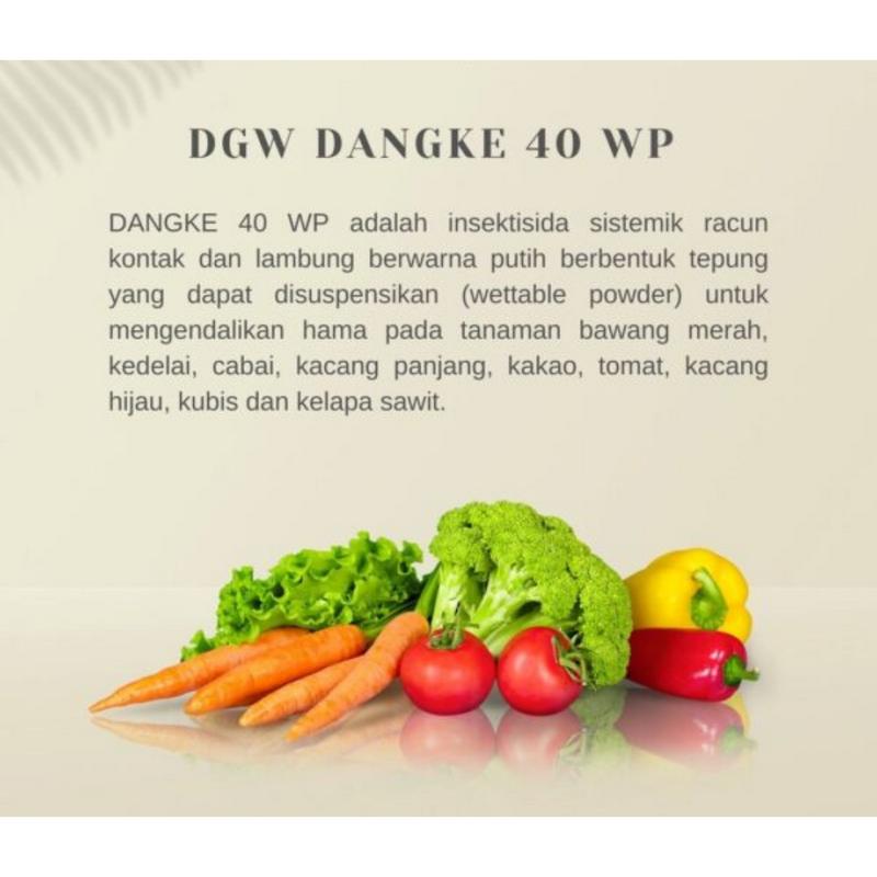 Insektisida Dangke 40WP @100 gram 2