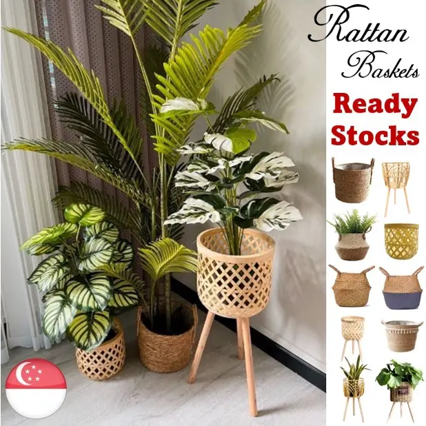 [SG INSTOCKS] Plant Basket Elevated Rustic Nordic Wooden Rattan Seagrass Premium